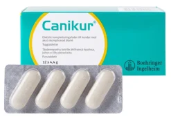 Canikur koiran suolistohäiriöiden hoitoon