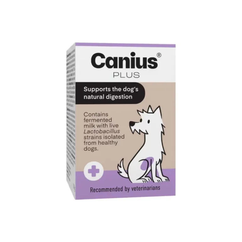 Canius Plus maitohappobakteerivalmiste koiralle UUSI