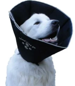 Comfy Cone pehmokauluri koiralle