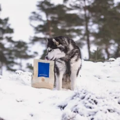 ESSENTIAL NAUTICAL LIVING Small Breed 2,5 kg viljaton kuivaruoka