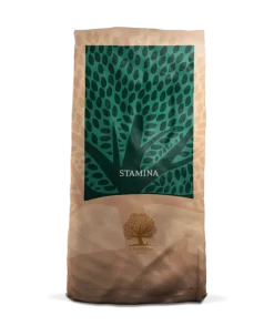 ESSENTIAL STAMINA 10 kg viljaton kuivaruoka