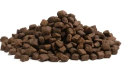 ESSENTIAL STAMINA Small Breed 2,5 kg viljaton kuivaruoka