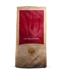 ESSENTIAL THE BEGINNING 10 kg viljaton penturuoka