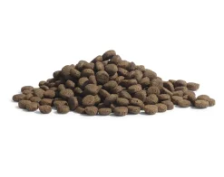 ESSENTIAL The PANTHER 1,5 kg kissan kuivaruoka