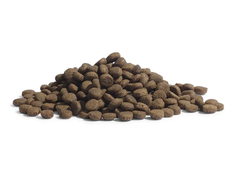 ESSENTIAL The PANTHER 1,5 kg kissan kuivaruoka