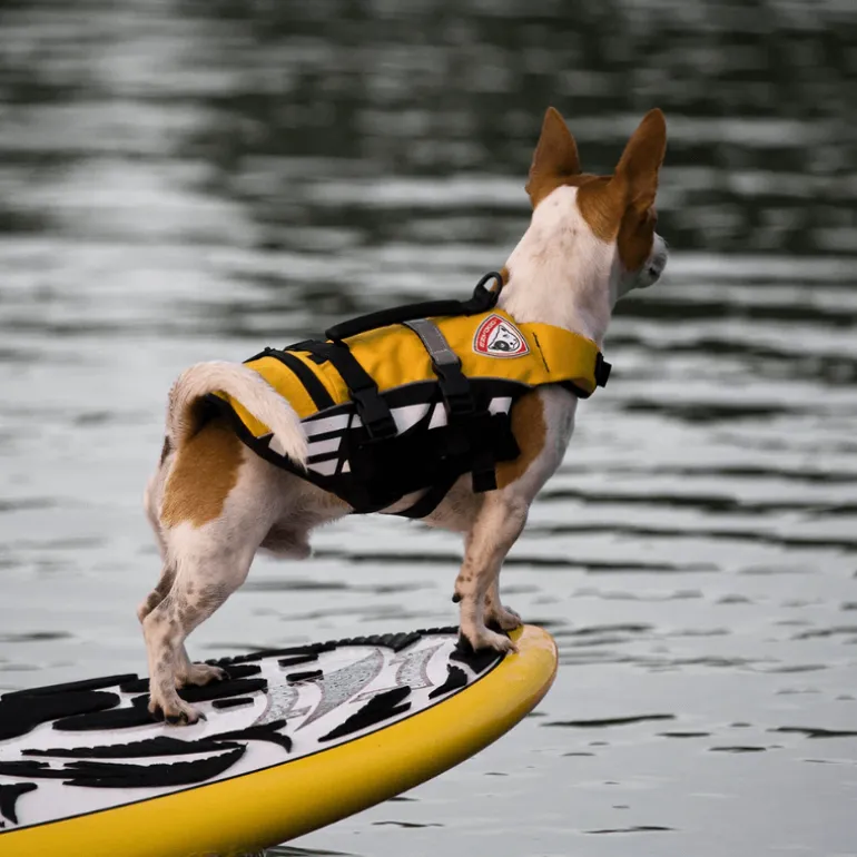 Ezydog koiran pelastusliivi