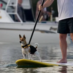 Ezydog koiran pelastusliivi