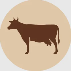 Fanimal jauhettu naudan sydän 200 g