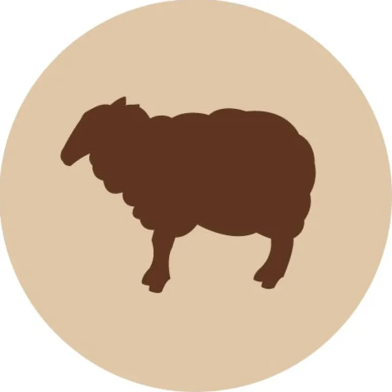 Fanimal Lampaan rasvarouhe 1 kg