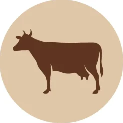 Fanimal Naudan lumpiot 3 kg