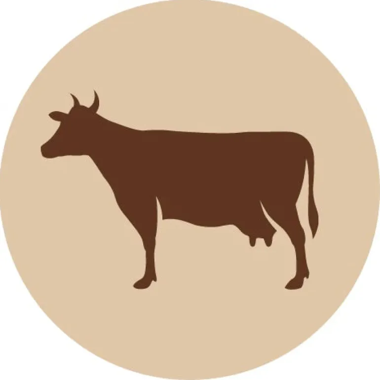 Fanimal Naudan lumpiot 3 kg