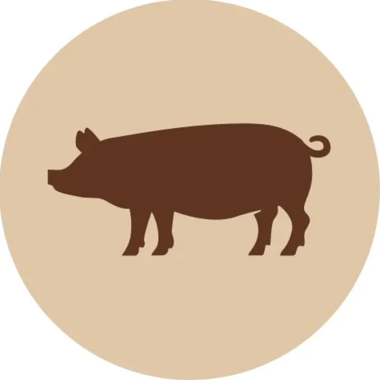 Fanimal Possun kieli 600 g