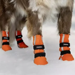 FinNero Halla Reflective 4kpl oranssi
