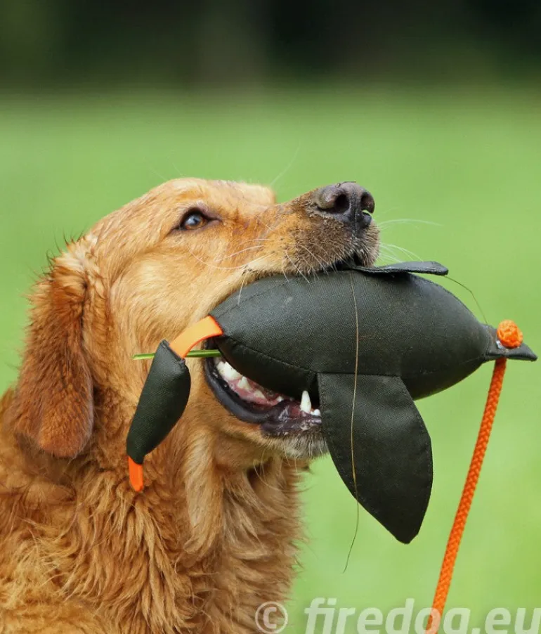 Firedog Duck dummy 400 g, khaki