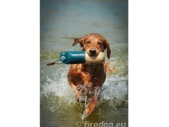 Firedog Markeeraus dummy 250 g, sini-valkoinen