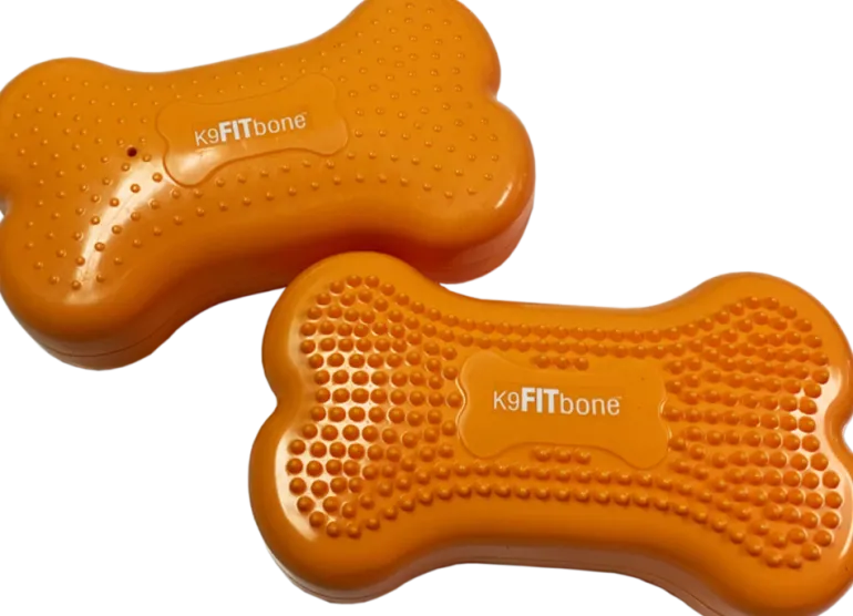 FitPAWS Mini K9FITbones koiran tasapainoalusta 2 kpl, mango