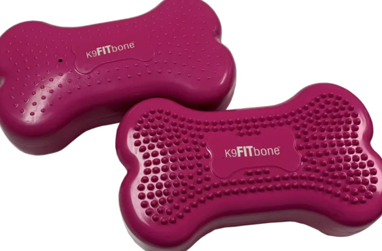 FitPAWS Mini K9FITbones koiran tasapainoalusta 2 kpl, pinkki