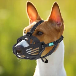 Freedog Koiran kuonokoppa