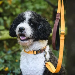 Freedog Linum Collar koiran kaulapanta, keltainen