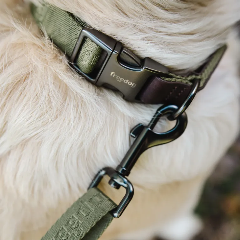 Freedog Linum Collar koiran kaulapanta, vihreä