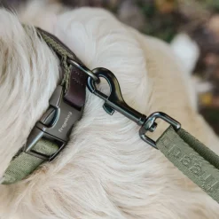 Freedog Linum Leash säädettävä koiran talutushihna, vihreä