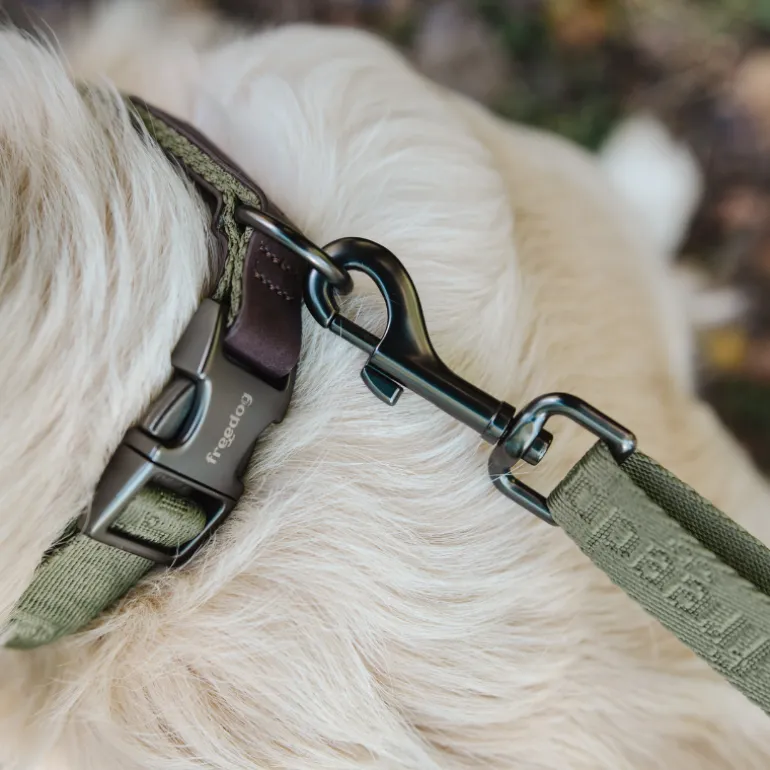 Freedog Linum Leash säädettävä koiran talutushihna, vihreä