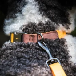 Freedog Linum Leash säädettävä koiran talutushihna, keltainen