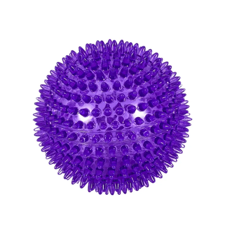 Freedog Noody pallo, violetti
