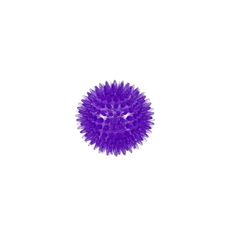 Freedog Noody pallo, violetti