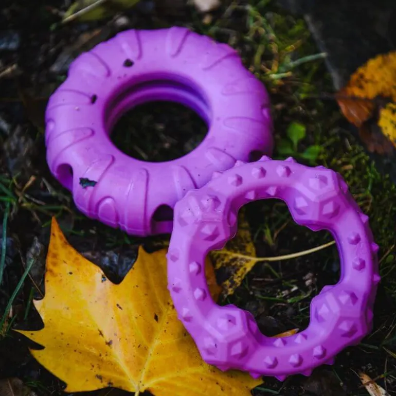 Freedog Rubber Snack aktivointilelu rengas, violetti