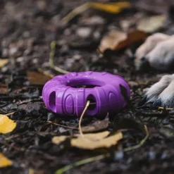 Freedog Rubber Snack aktivointilelu rengas, violetti