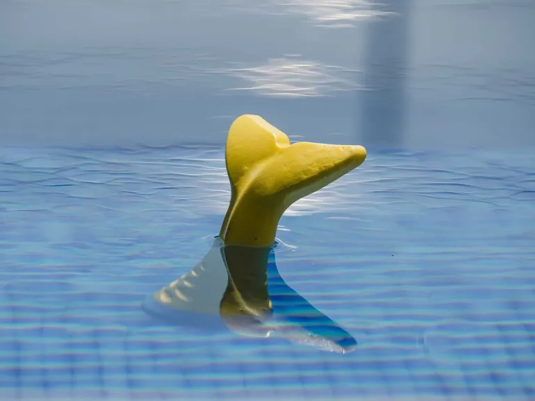 Freedog Splash vesilelu pyrstö