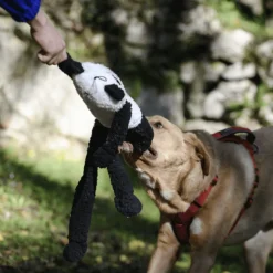 Freedog XL pehmolelu vingulla, panda