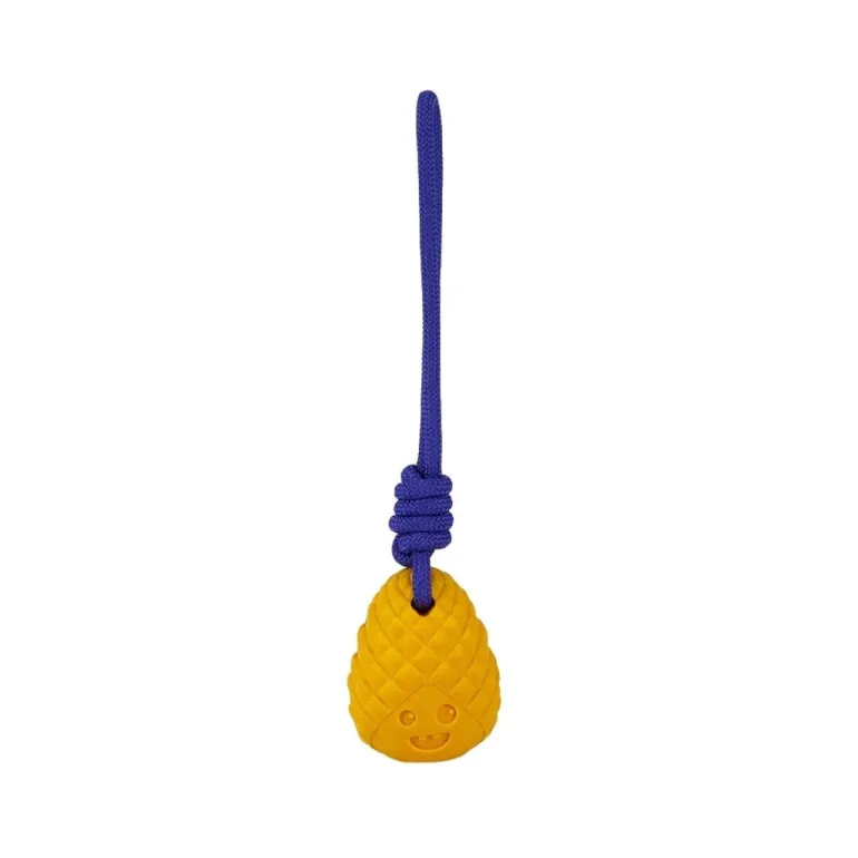 Freedog Zygo ananas vetolelu