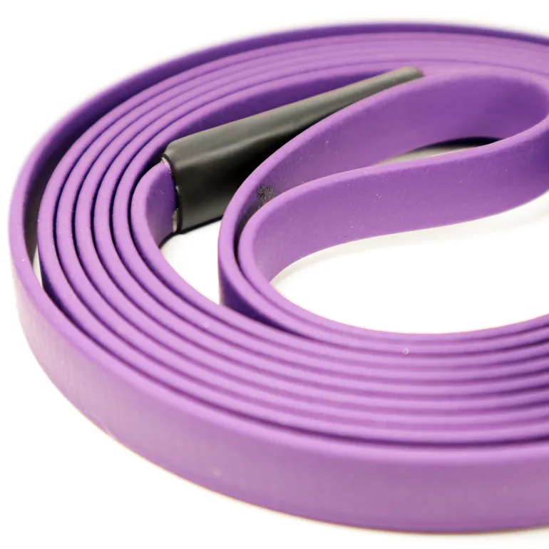 JALEN Biothane noutajatalutin koiralle, violetti