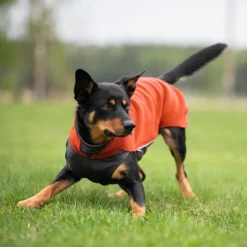 JumppaPomppa Habanero
