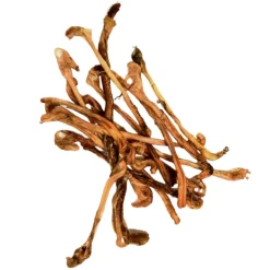 Kaikenkarvaiset Lampaan sticks 100 g