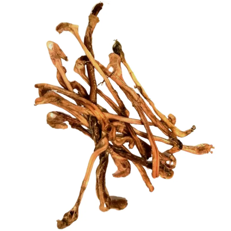 Kaikenkarvaiset Lampaan sticks 100 g