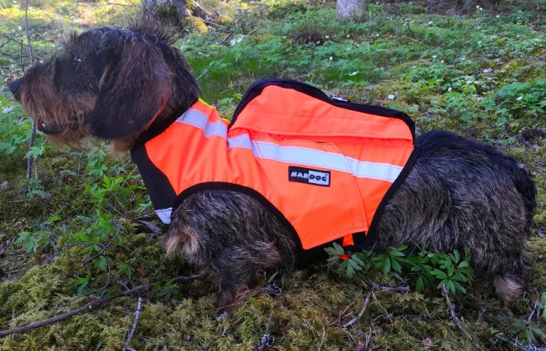 Kardog Inari GPS-huomioliivi