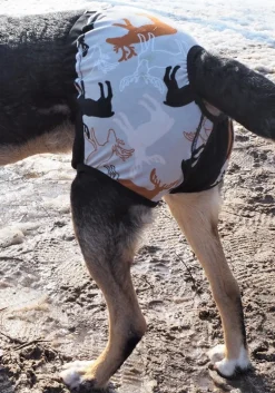 Kardog Lempi kestojuoksuhousut, hirvi