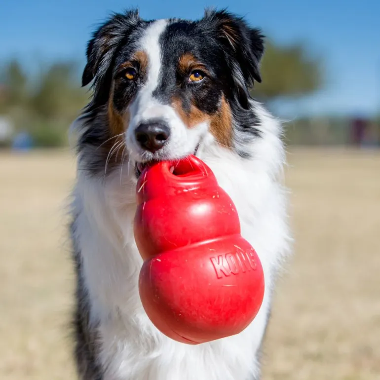 Kong Bounzer lelu