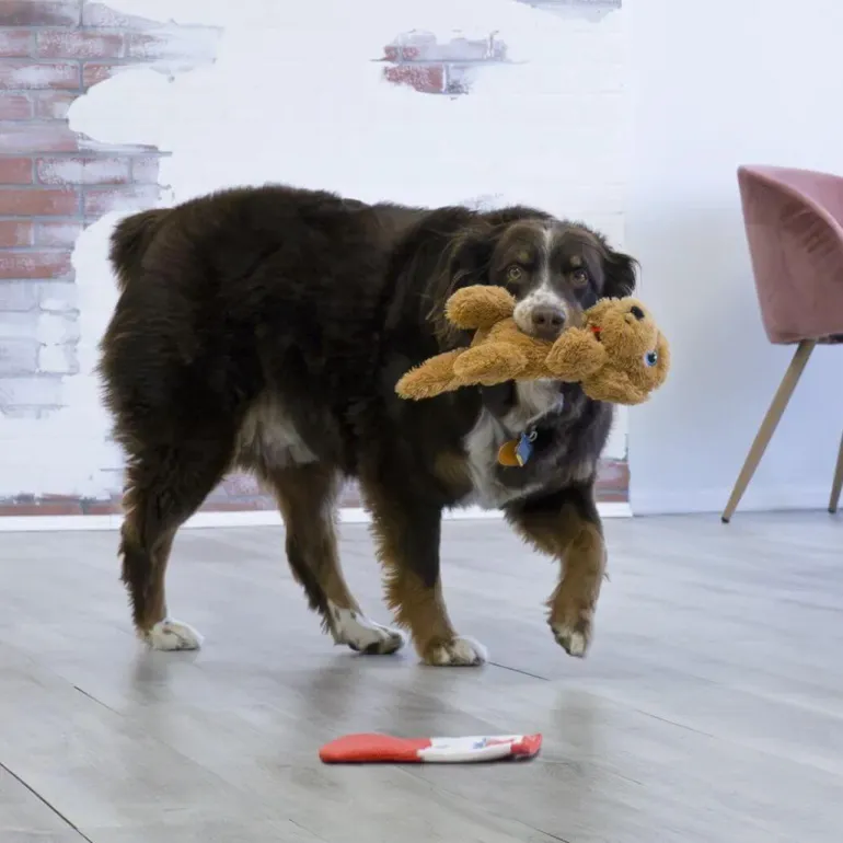 Kong Comfort Pups Goldie pehmolelu M