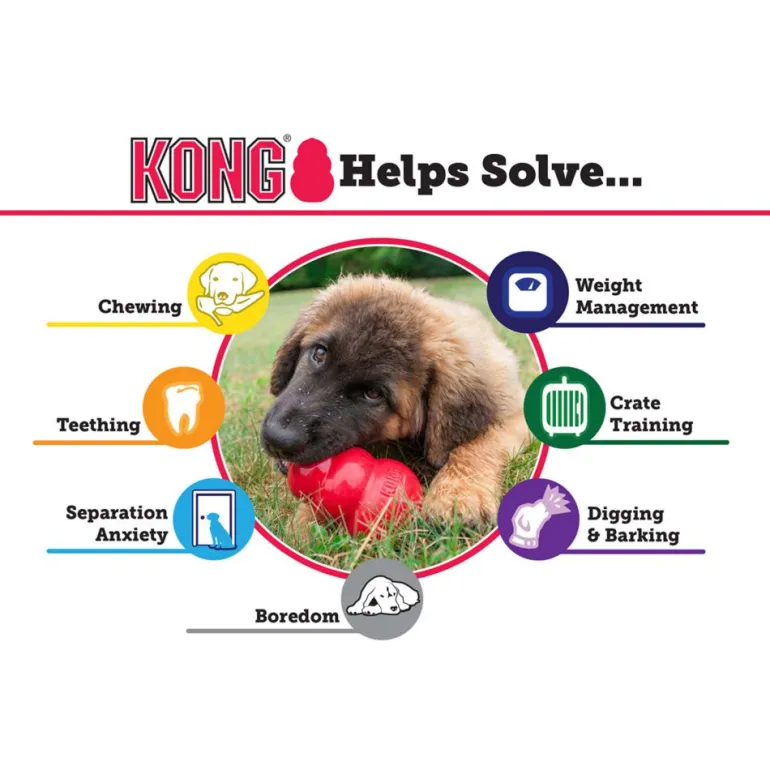 Kong Extreme koiran aktivointilelu