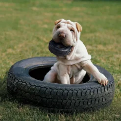 Kong Extreme Tire koiran aktivointilelu