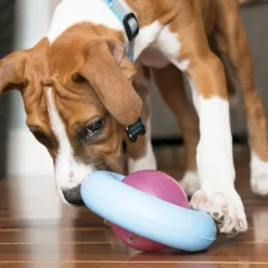 Kong Puppy Gyro Mix Aktivointilelu koiranpennulle