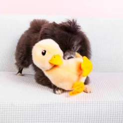 Kong Toughz Duck M koiran pehmolelu