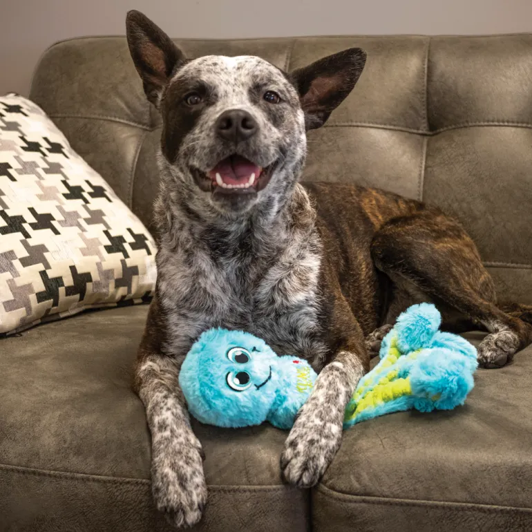 Kong Wubba Octopus koiranlelu