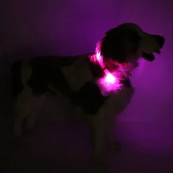Leuchtie Plus koiran valopanta, pinkki