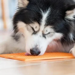 LickiMat Buddy aktivointimatto, oranssi