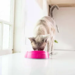 LickiMat Oral Hygiene kissan ruokakulho, roosa